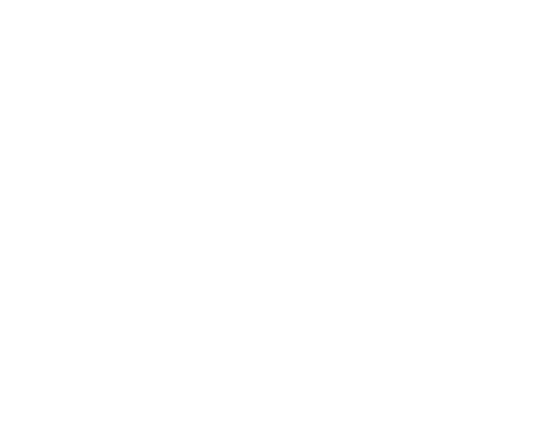 Leaf overlay image